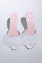 Dream Mules