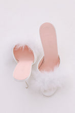 Dream Mules