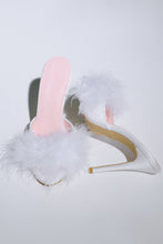 Dream Mules